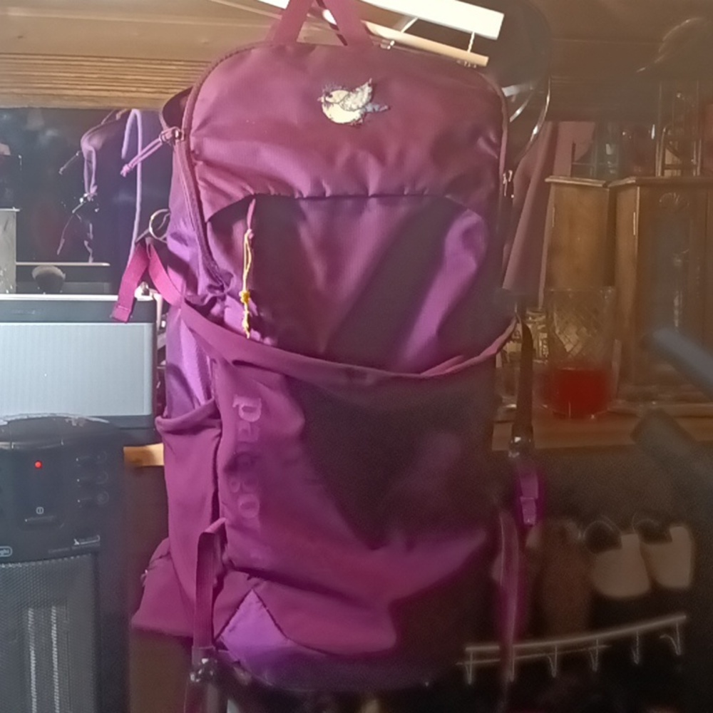 Patagonia Hiking backpack